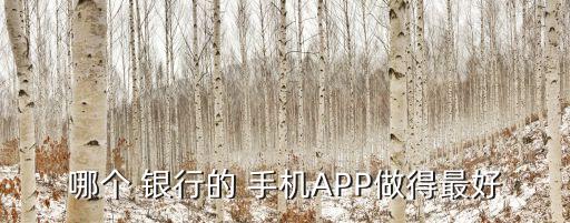 哪個 銀行的 手機(jī)APP做得最好