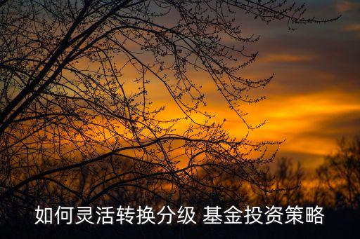 如何靈活轉(zhuǎn)換分級 基金投資策略