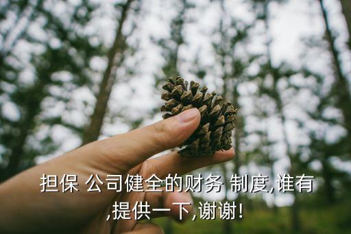  擔(dān)保 公司健全的財務(wù) 制度,誰有,提供一下,謝謝!