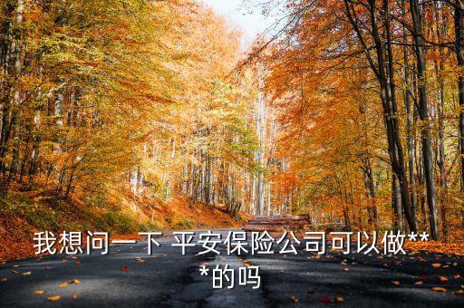 我想問(wèn)一下 平安保險(xiǎn)公司可以做***的嗎