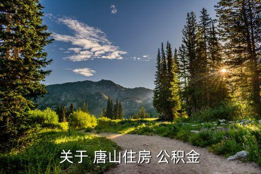 關于 唐山住房 公積金