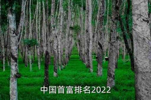 中國首富排名2022