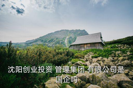 沈陽(yáng)創(chuàng)業(yè)投資 管理集團(tuán) 有限公司是國(guó)企嗎