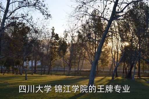 四川大學 錦江學院的王牌專業(yè)