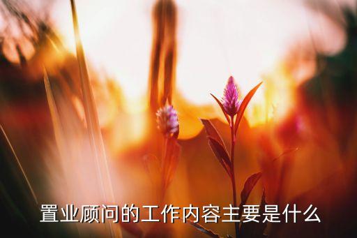  置業(yè)顧問的工作內(nèi)容主要是什么