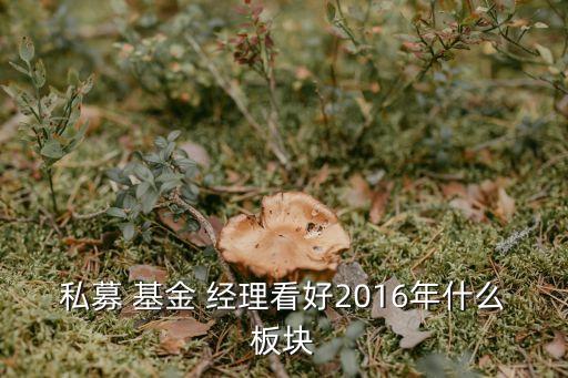 私募 基金 經(jīng)理看好2016年什么板塊