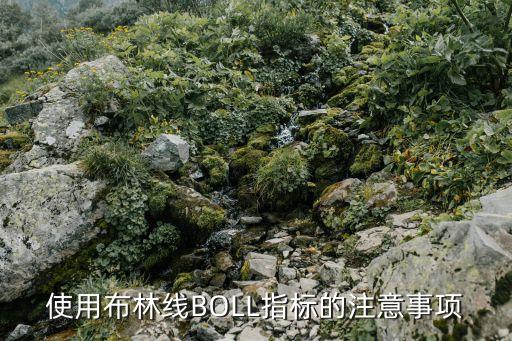 使用布林線BOLL指標(biāo)的注意事項(xiàng)