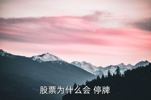 股票為什么會(huì) 停牌