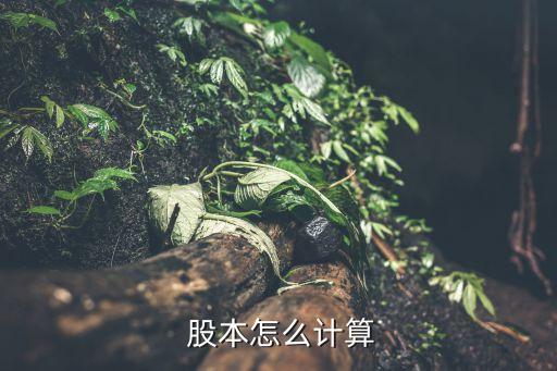  股本怎么計(jì)算