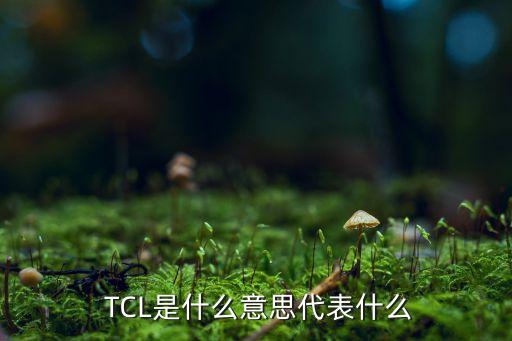 TCL集團(tuán)為了,tcl集團(tuán)招聘信息