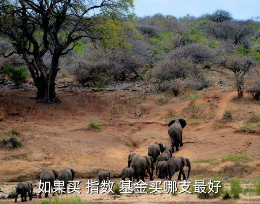 如果買 指數(shù) 基金買哪支最好