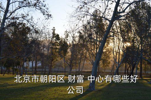  北京市朝陽區(qū) 財富 中心有哪些好公司