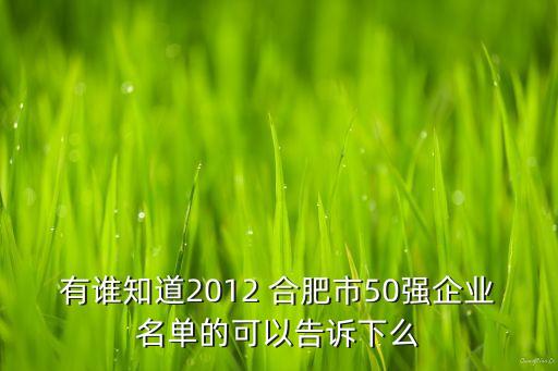 有誰知道2012 合肥市50強企業(yè)名單的可以告訴下么