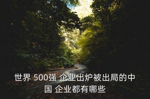 世界 500強 企業(yè)出爐被出局的中國 企業(yè)都有哪些