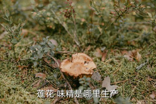 蓮花 味精是哪里生產(chǎn)