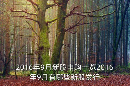 2016年9月新股申購一覽2016年9月有哪些新股發(fā)行