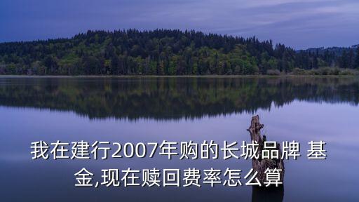 品牌基金,pp基金2023年什么時候能清退