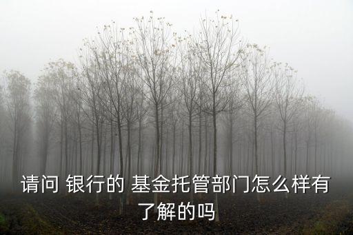 請問 銀行的 基金托管部門怎么樣有了解的嗎