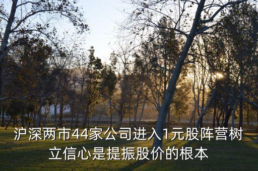 滬深兩市44家公司進(jìn)入1元股陣營樹立信心是提振股價(jià)的根本