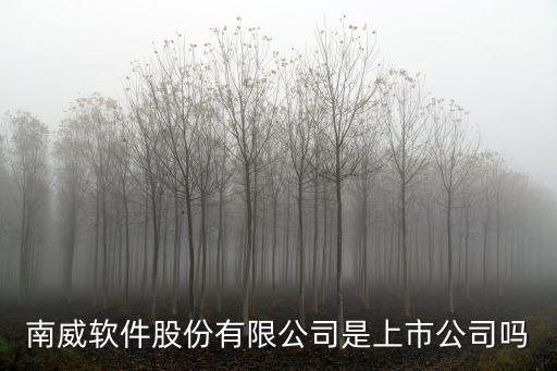 南威軟件股份有限公司是上市公司嗎