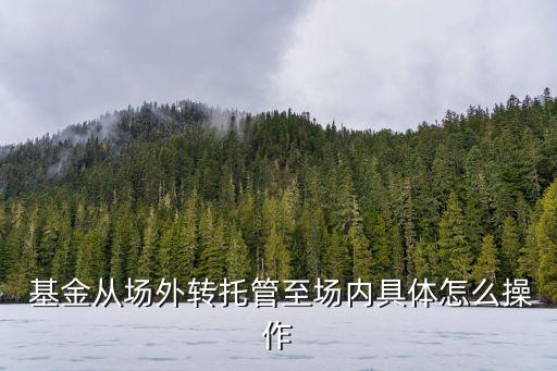 基金轉(zhuǎn)換前提,支付寶基金轉(zhuǎn)換規(guī)則