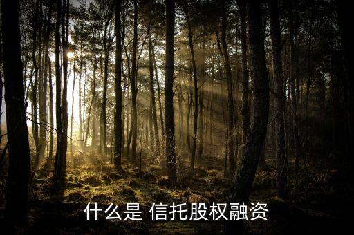 什么是 信托股權(quán)融資