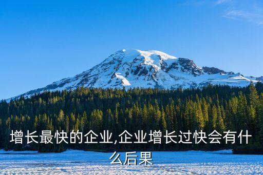 中國增長最快的企業(yè),企業(yè)增長過快會有什么后果