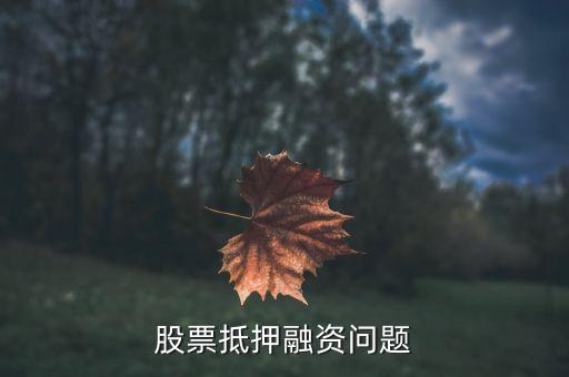 股票抵押融資問題