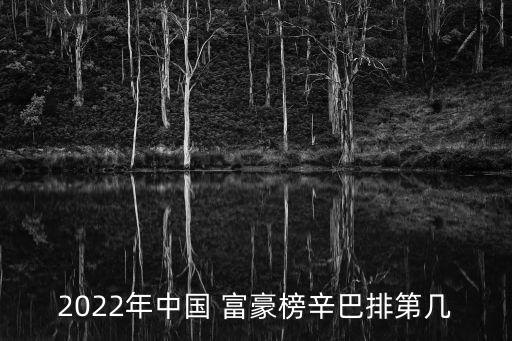 2022年中國 富豪榜辛巴排第幾