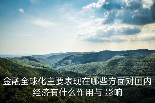 金融全球化主要表現(xiàn)在哪些方面對國內(nèi)經(jīng)濟(jì)有什么作用與 影響