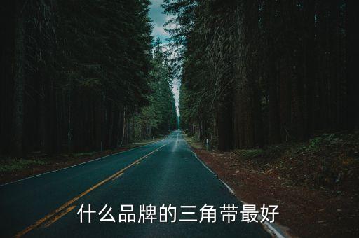 上海三力士,三力士股份有限公司