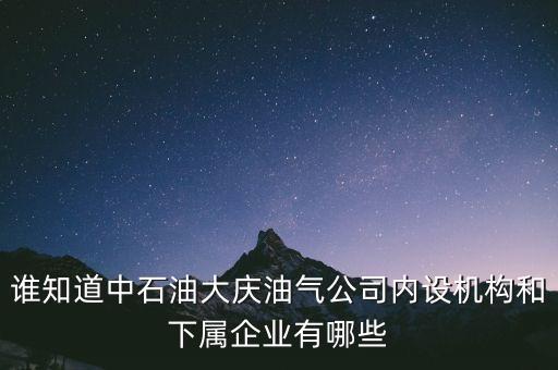 誰知道中石油大慶油氣公司內(nèi)設(shè)機(jī)構(gòu)和下屬企業(yè)有哪些