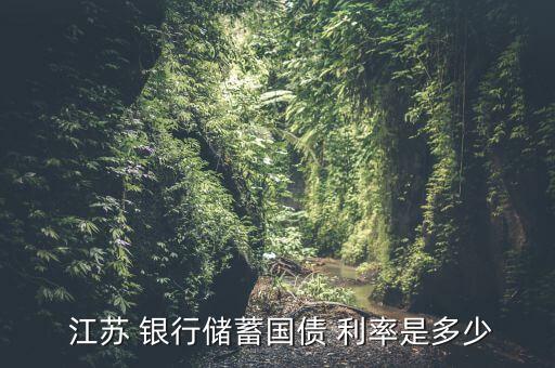  江蘇 銀行儲(chǔ)蓄國(guó)債 利率是多少