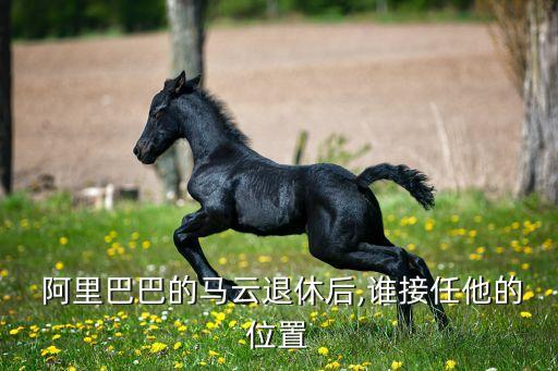  阿里巴巴的馬云退休后,誰接任他的位置