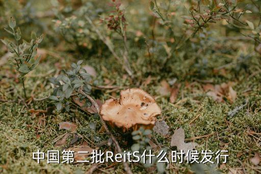 中國第二批ReitS什么時(shí)候發(fā)行