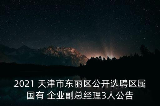 2021 天津市東麗區(qū)公開(kāi)選聘區(qū)屬?lài)?guó)有 企業(yè)副總經(jīng)理3人公告