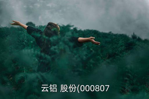 云鋁股份股票最高價(jià)格,000807云鋁股份股票