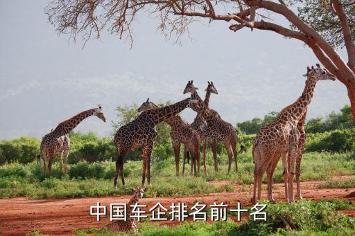 中國(guó)車企排名前十名