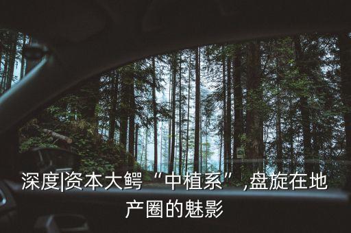 深度|資本大鱷“中植系”,盤(pán)旋在地產(chǎn)圈的魅影