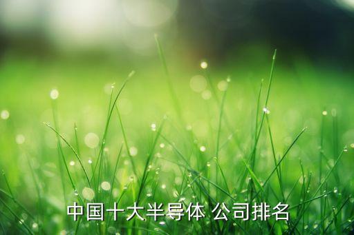 中國十大半導(dǎo)體 公司排名