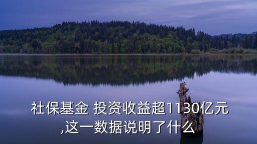  社保基金 投資收益超1130億元,這一數(shù)據(jù)說明了什么