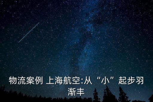 物流案例 上海航空:從“小”起步羽漸豐