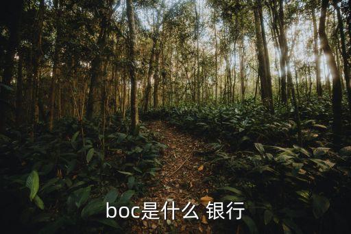 boc是什么 銀行