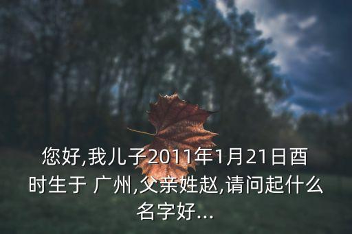 您好,我兒子2011年1月21日酉時(shí)生于 廣州,父親姓趙,請問起什么名字好...