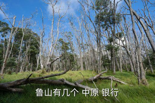 魯山有幾個 中原 銀行