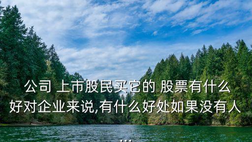  公司 上市股民買它的 股票有什么好對(duì)企業(yè)來說,有什么好處如果沒有人...