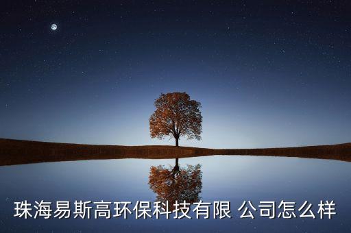 珠海易斯高環(huán)?？萍加邢?公司怎么樣