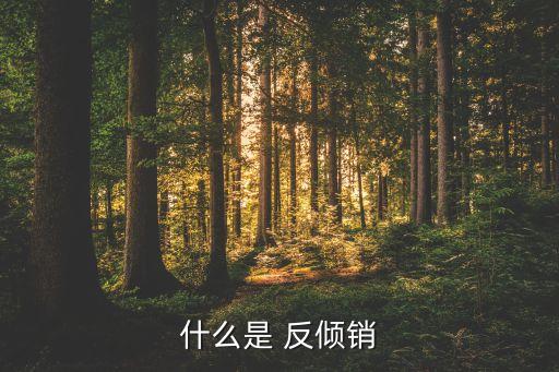 什么是 反傾銷