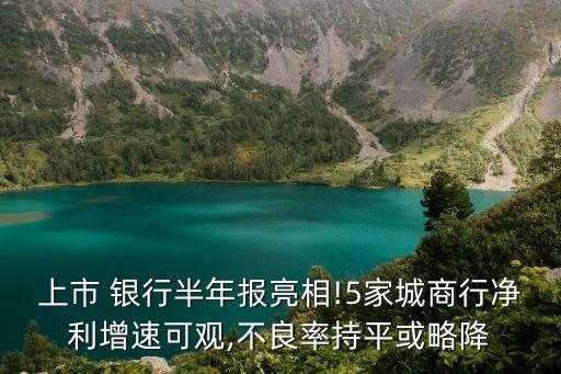 上市 銀行半年報(bào)亮相!5家城商行凈利增速可觀,不良率持平或略降