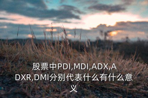  股票中PDI,MDI,ADX,ADXR,DMI分別代表什么有什么意義